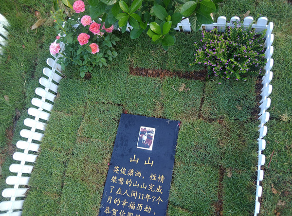 宠物墓地(图18)