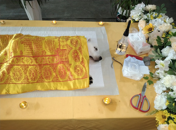 广州宠物殡葬服务价格(图3)