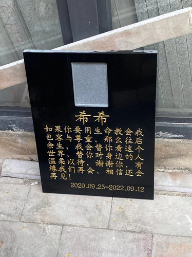 9月16“芒果”“小花”“布丁”“希希”火化铭记(图4)