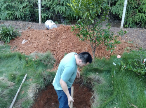 安逸宠物墓园妙妙下葬实录(图3)