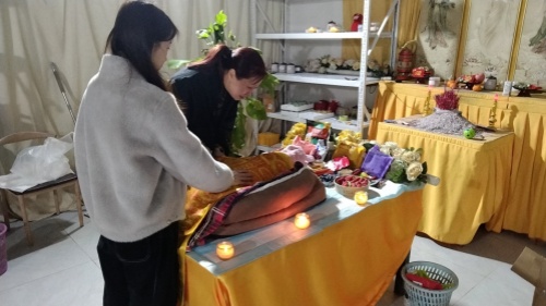 遛狗途中没牵绳子被车撞死(图3)
