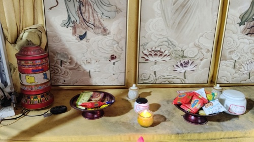 小刺猬小体型宠物火化全记录(图6)