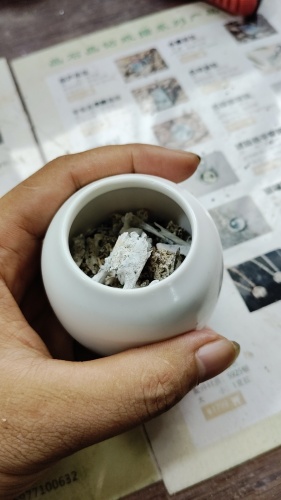 小刺猬小体型宠物火化全记录(图5)