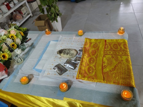 小刺猬小体型宠物火化全记录(图3)