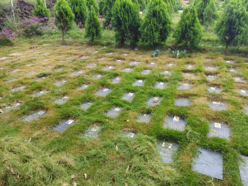 安逸宠物墓园内景实拍(图4)