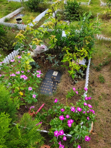 安逸宠物墓园内景实拍(图5)